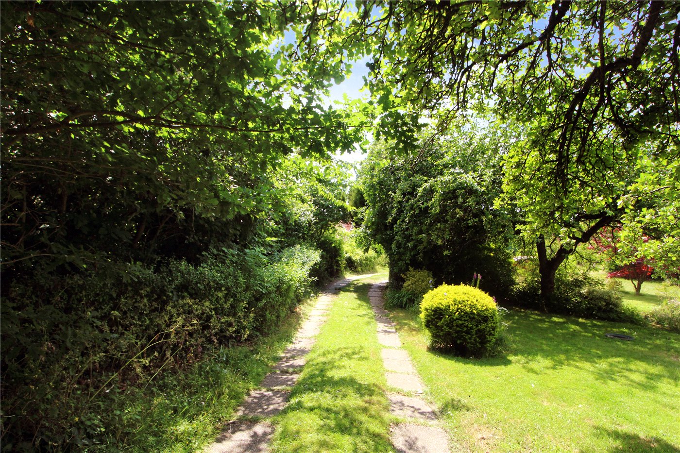 Driveway